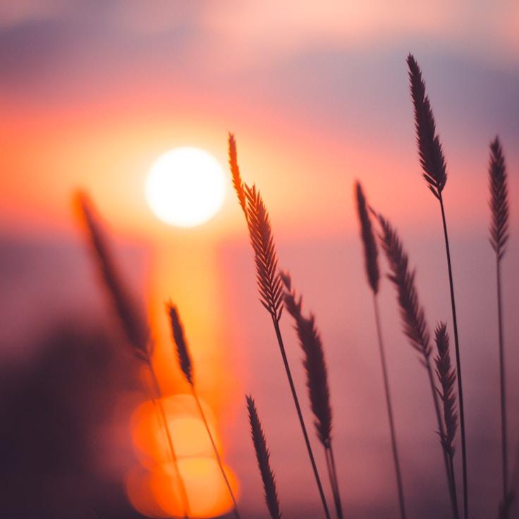 Overview of protected areas